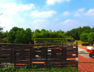 6月16日,广 6月16日,广